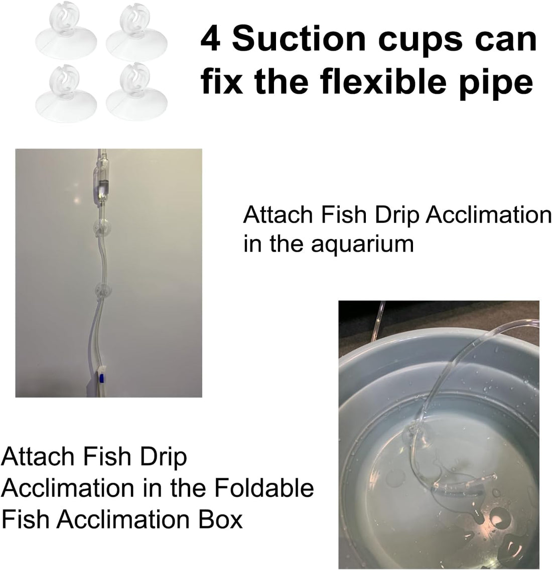 Foldable Fish Acclimation Box