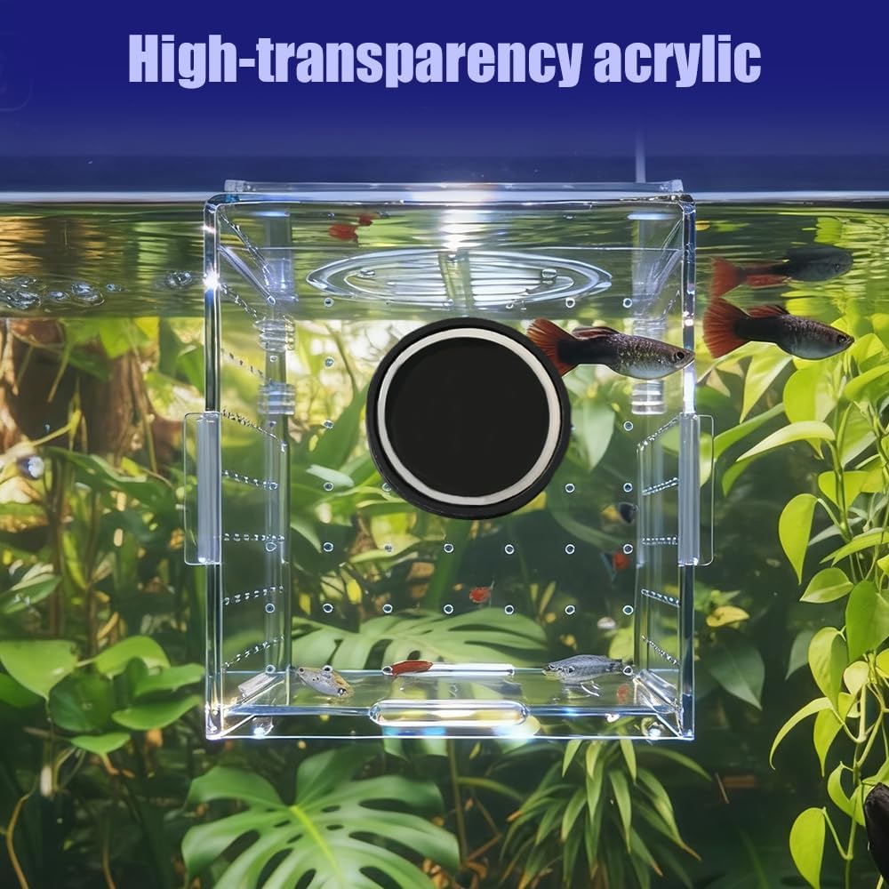 Fish Breeding Box, Acrylic Fish Isolation Container Aquariums
