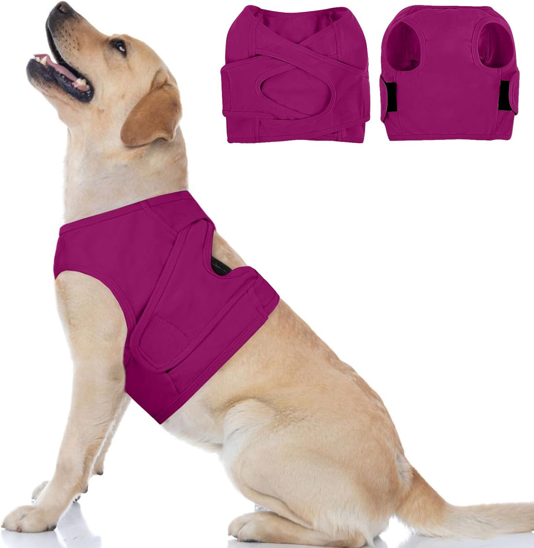 BRKURLEG Chest Recovery Suit for Dogs, Chest Wound Cover, Grey XL