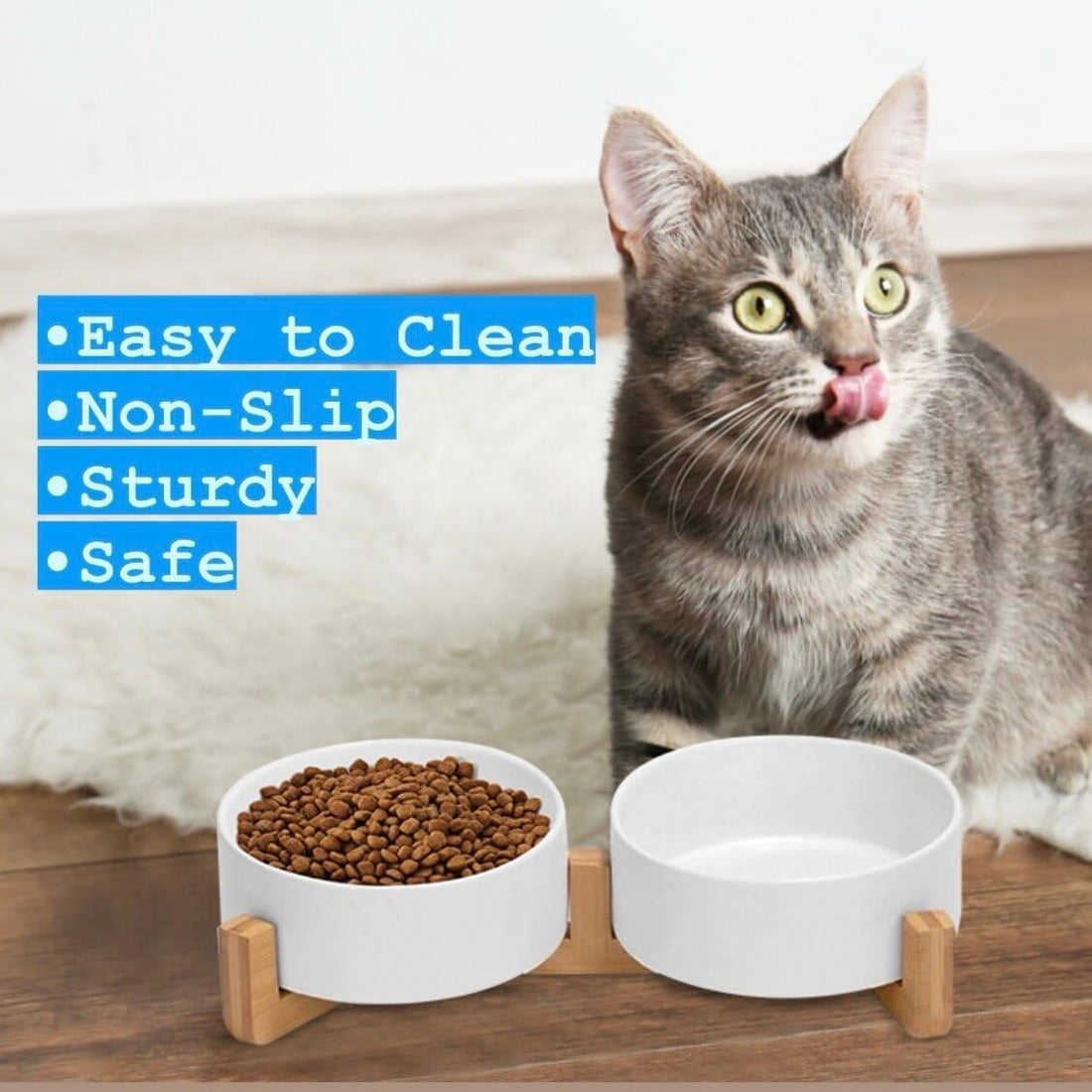 Ceramic Cat and Small Dog Bowl Set