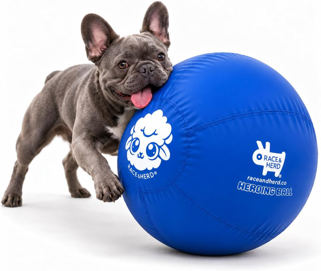 Race&Herd 25" Original Herding Ball — Cover, Inner Ball & Pump (Ocean)