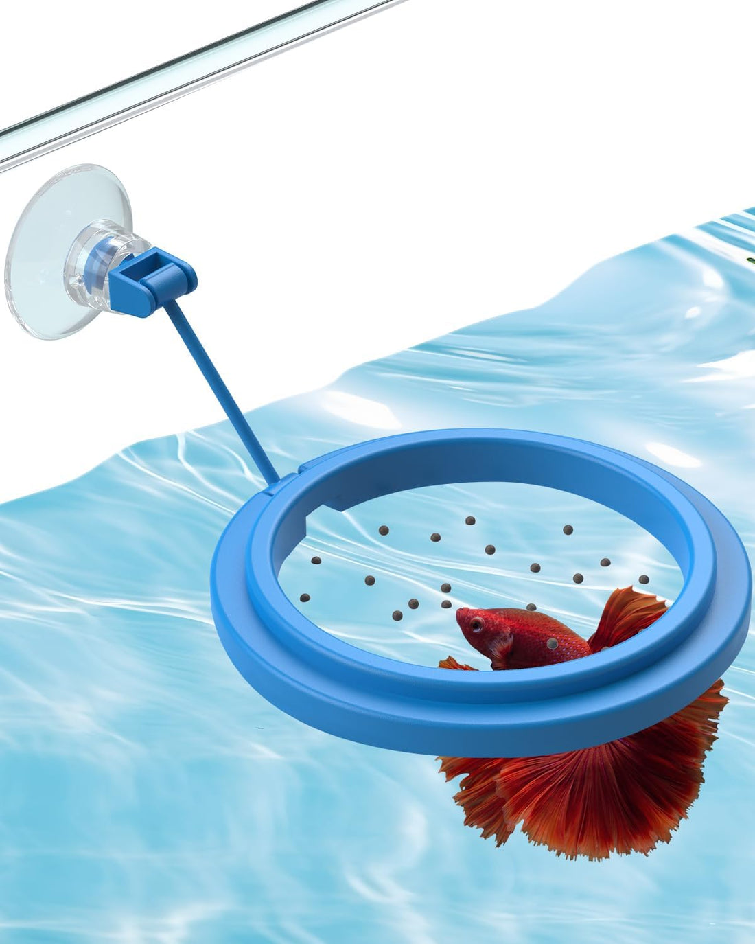 Pawfly Fish Feeding Ring for Aquarium, Feeding Ring with Suction Cup