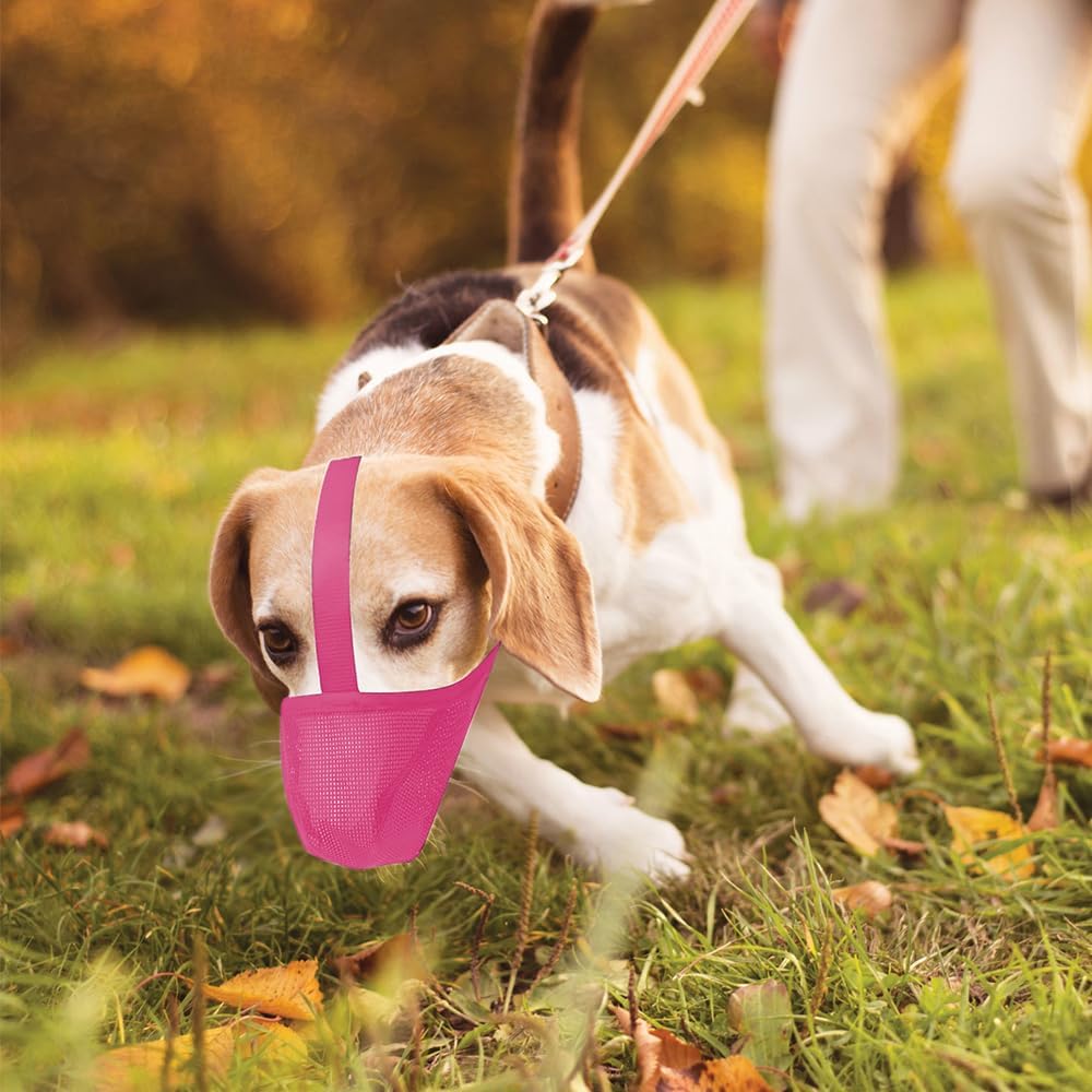 Dog Muzzle, Soft Mesh Covered Muzzles for Dogs