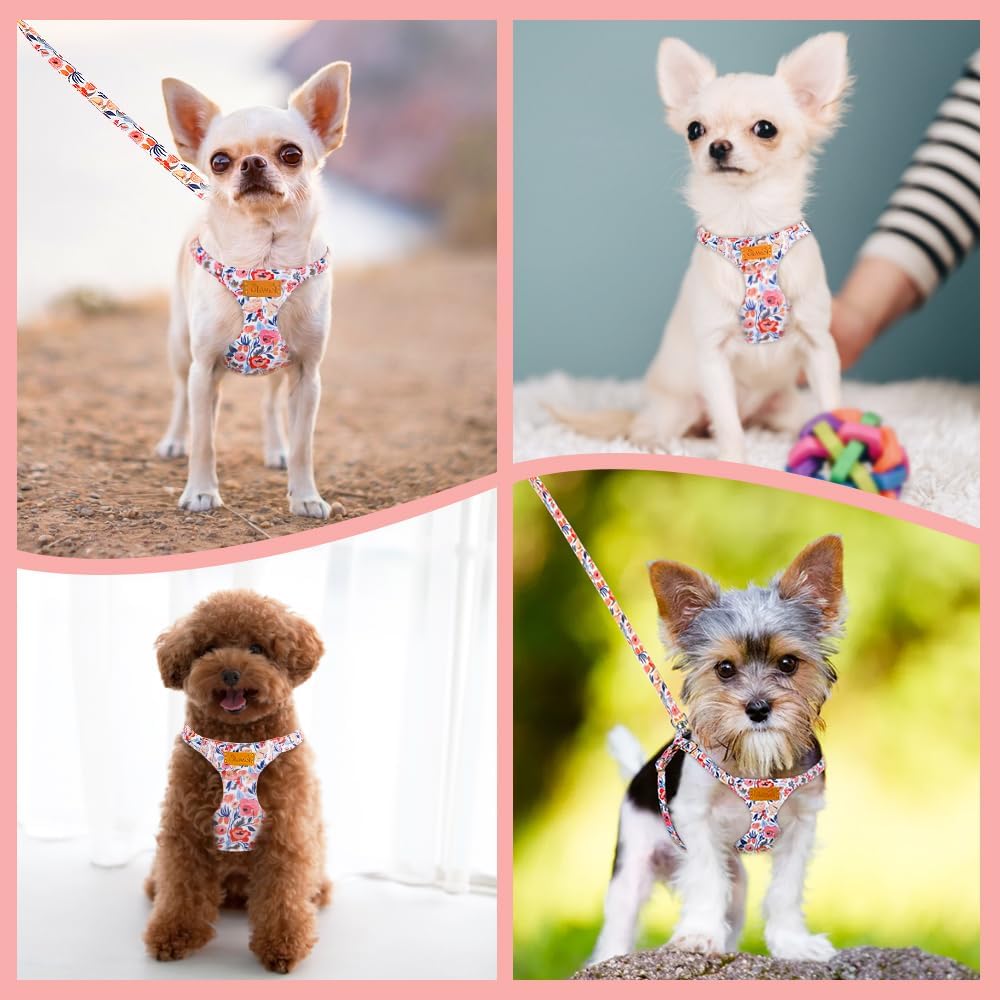 SlowTon No Pull Dog Harness with Leash for Small Medium Dogs