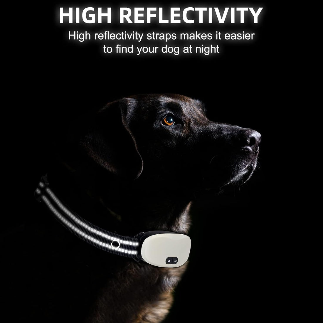 Collar Replacement Strap, Reflective Replacement Nylon Collar Strap