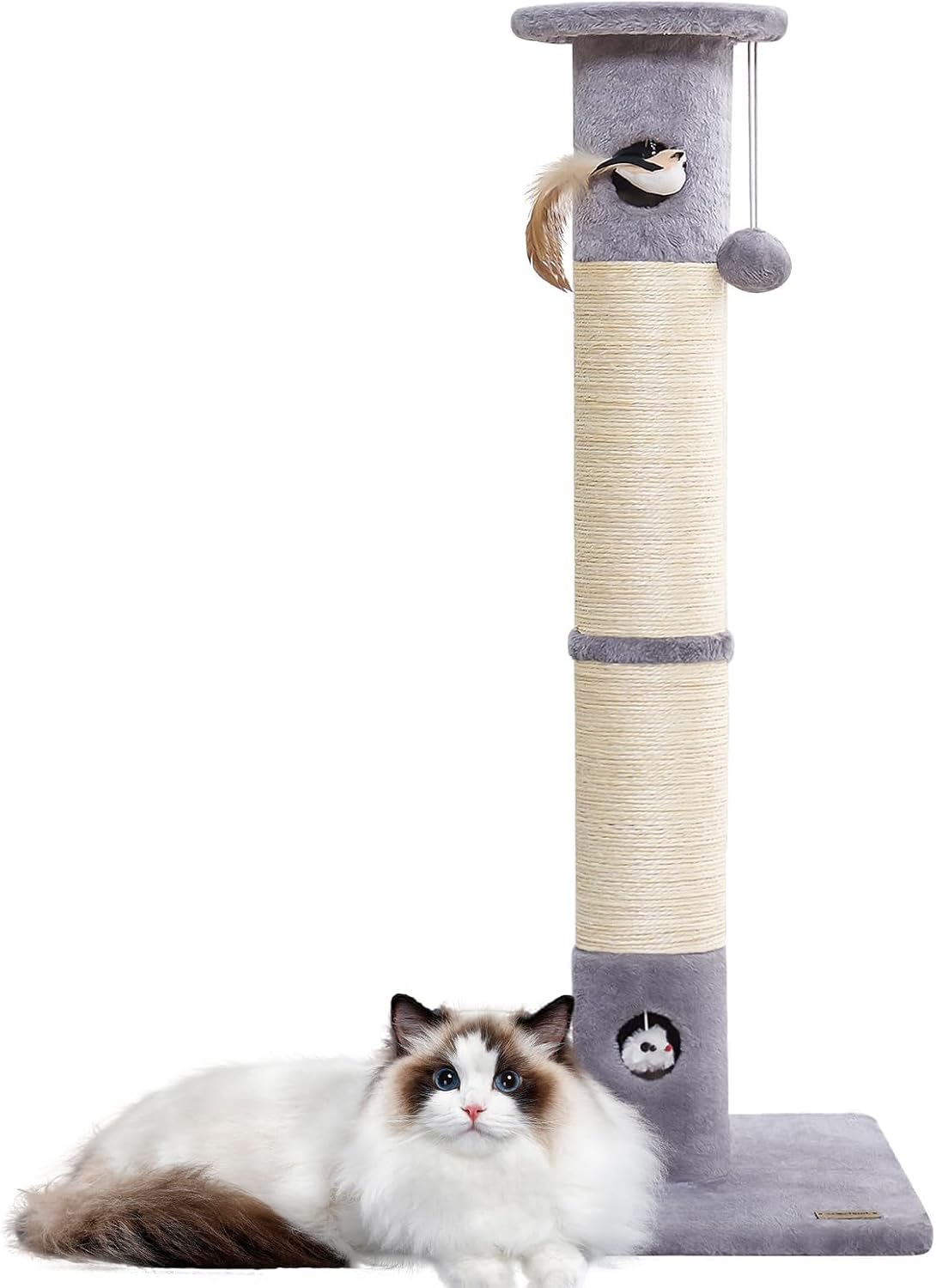 UWELLPETS 24" Tall Small Cat Tree Tower for Indoor Cats, Black