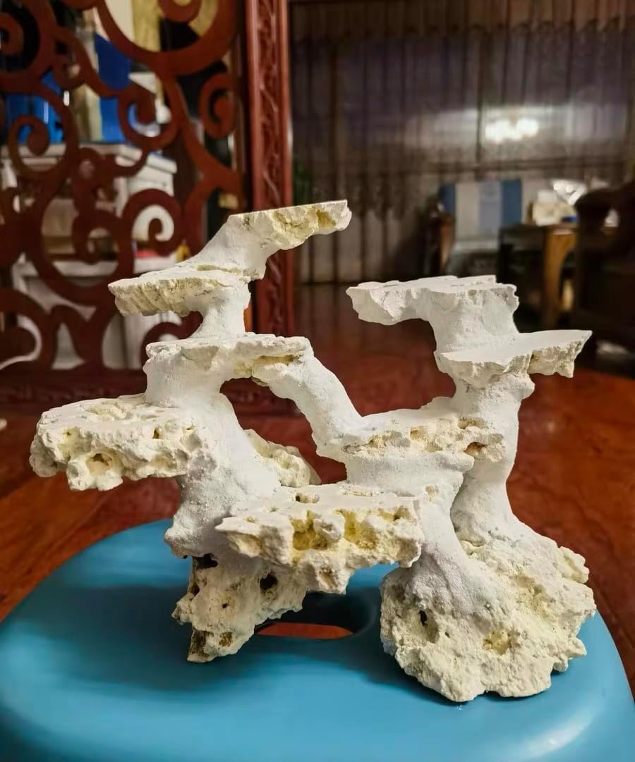 YZHZOM Dry Base Rock for Aquarium White Coral Ornament Sea Base Rocks