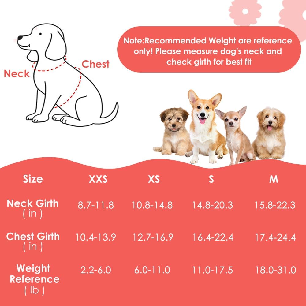 SlowTon No Pull Dog Harness with Leash for Small Medium Dogs