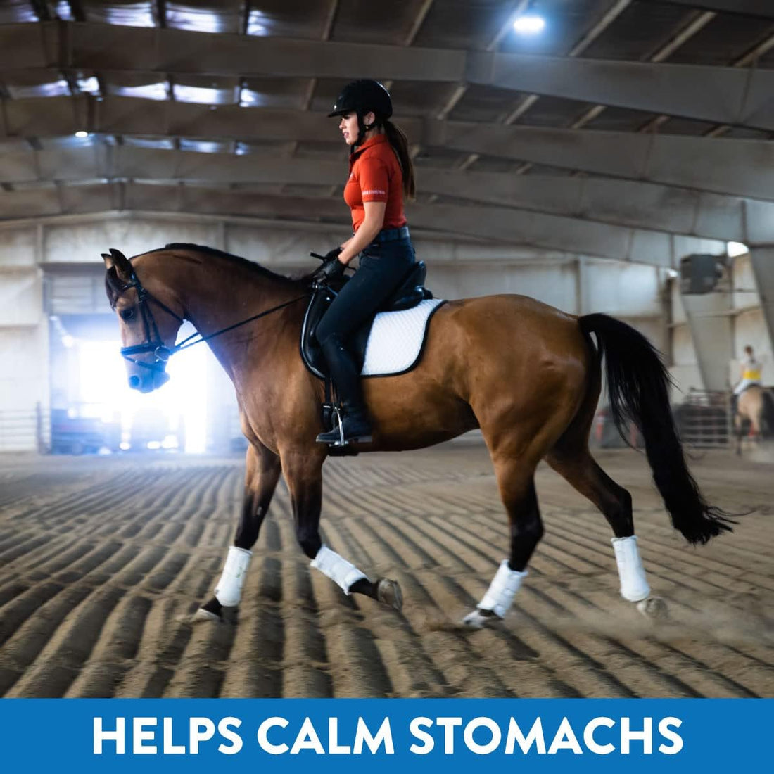 Gastric Support Supplement for Horses | Relieves Ulcers