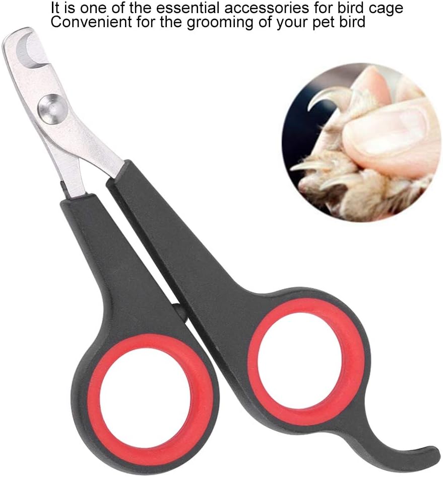 Animal Nail Scissors,Bird Nail Scissors,Beak Trimmer for Birds Pet