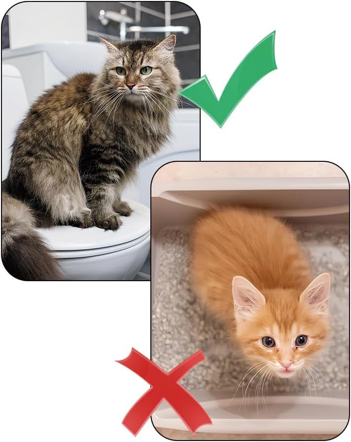 Cat Toilet Training Kit – Litter Box Alternative with Tray (Grey)