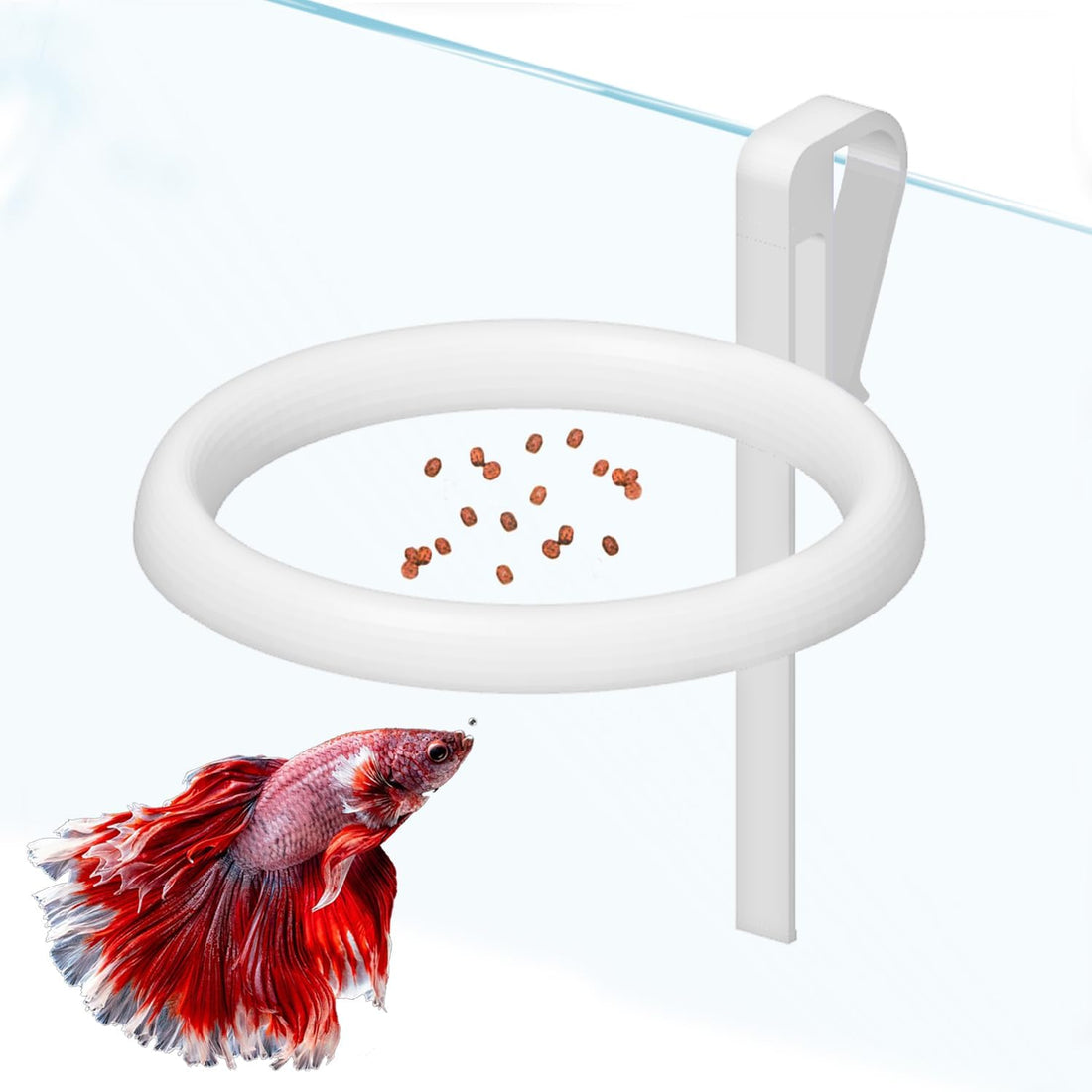 Clip On Fish Feeding Ring Self-Adjusting to Water Level for Betta