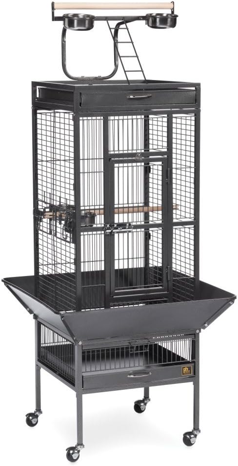 Prevue Pet Products Wrought Iron Select Bird Cage - L