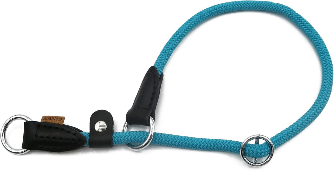 Braided Round Martingale Dog Collar