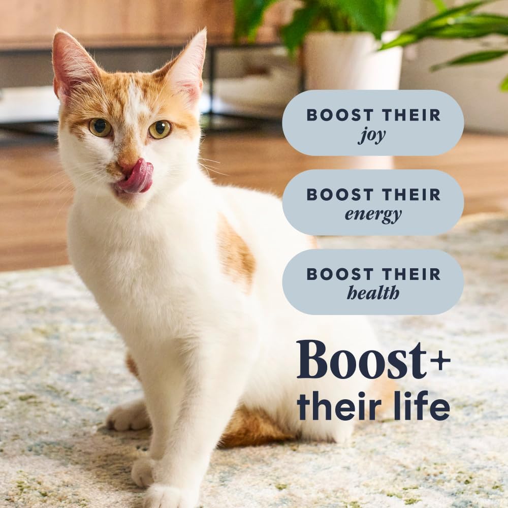 Instinct RawBoost, Dry Cat Food + Freeze Dried, Real Chicken