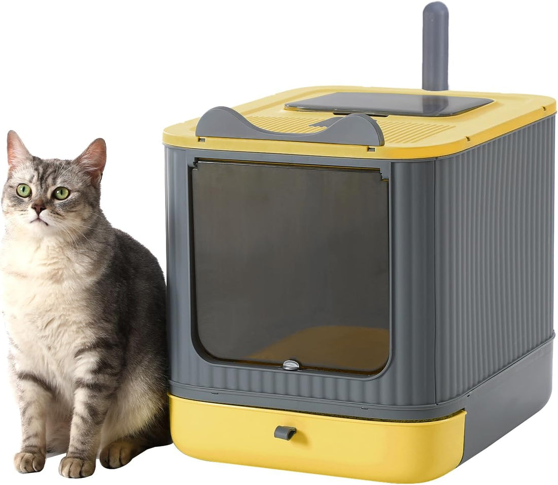 Foldable Enclosed Cat Litter Box with Lid, for Kitten to Medium