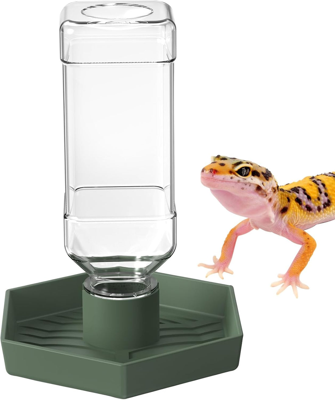 Reptile Water Dispenser Bowl for Bearded Dragon Tortoise