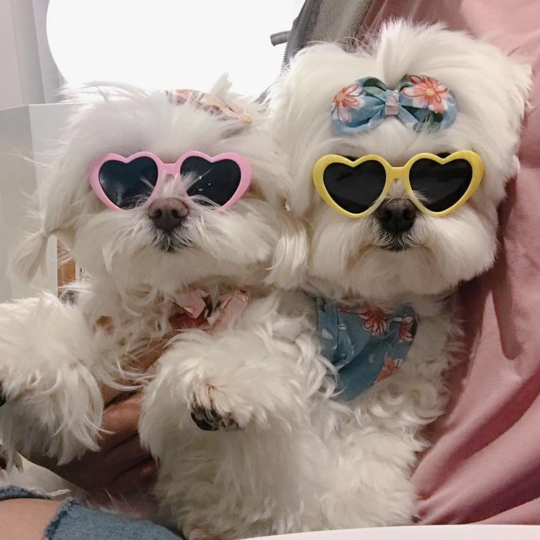 Pink Pet Heart Sunglasses