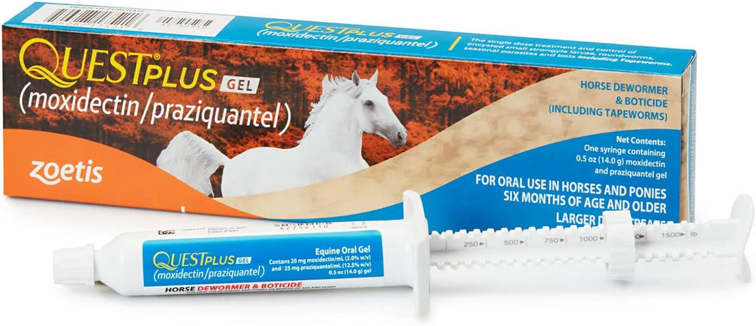 Quest Plus (moxidectin/praziquantel) Gel Dewormer for Horses, 0.5 oz