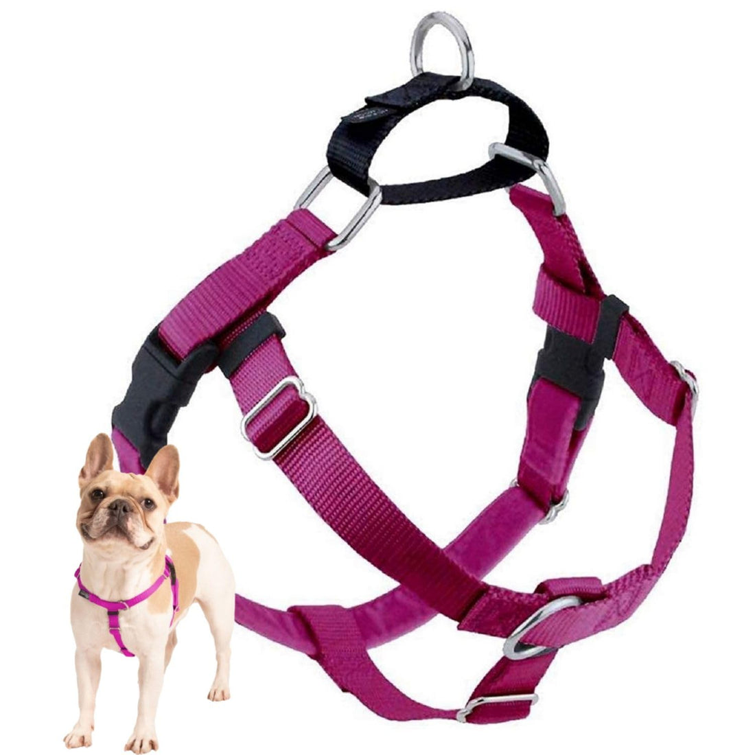 2 Hounds Design Freedom No Pull Dog Harness