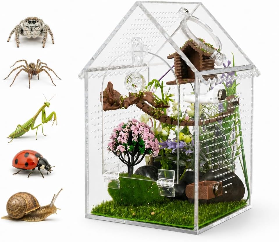 Jumping Spider Enclosure,Clear Acrylic,Pre-Assembled,3x3x5.9inch