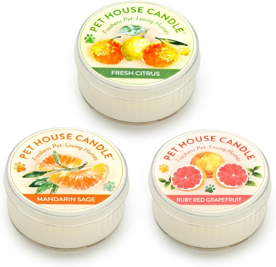 Fireside Mini Candles Plant-Based Wax, 3 Pack Pet House