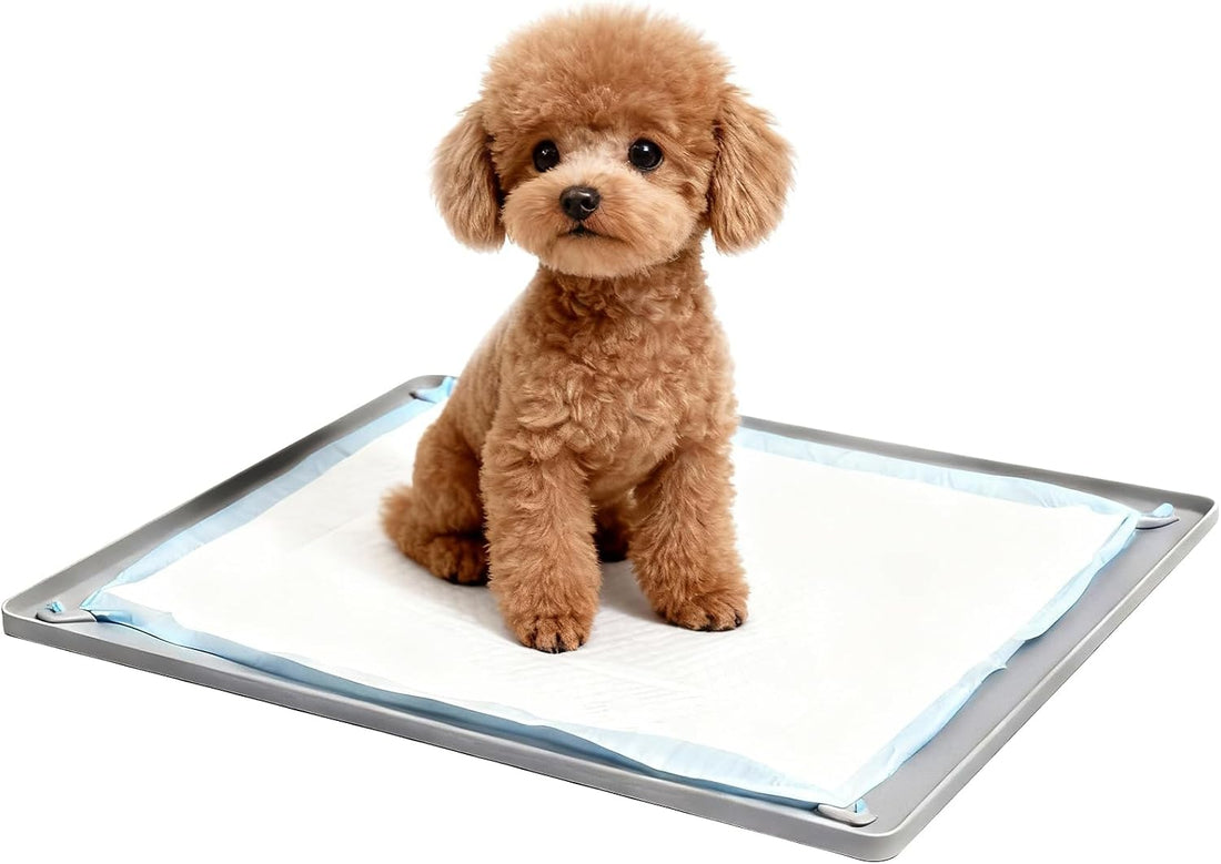 Dog Pee Pad Holder, Silicone Tray, 4-Corner Fixing, 35x25 inch