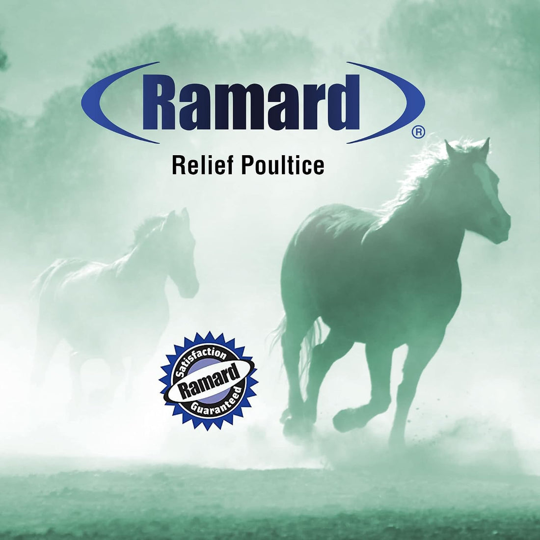 Ramard Relief Poultice for Horses -Veterinary Liniment Gel for Horse