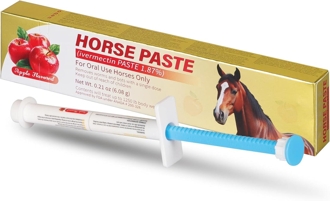 Equine Paste 1.87% | Apple Flavored – 6.08g Tube for Horses, 1-Pack