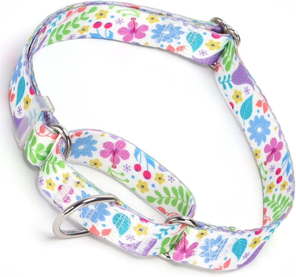 Martingale Collar for Dogs, No-Slip Escape Proof Choke No Pull Cinch