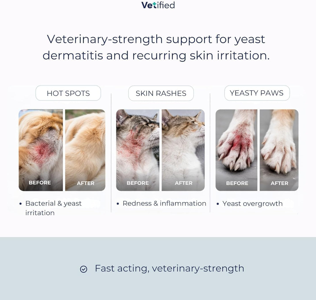 Yeast Dermatitis Treatment for Dogs - 8 Fl Oz Spray