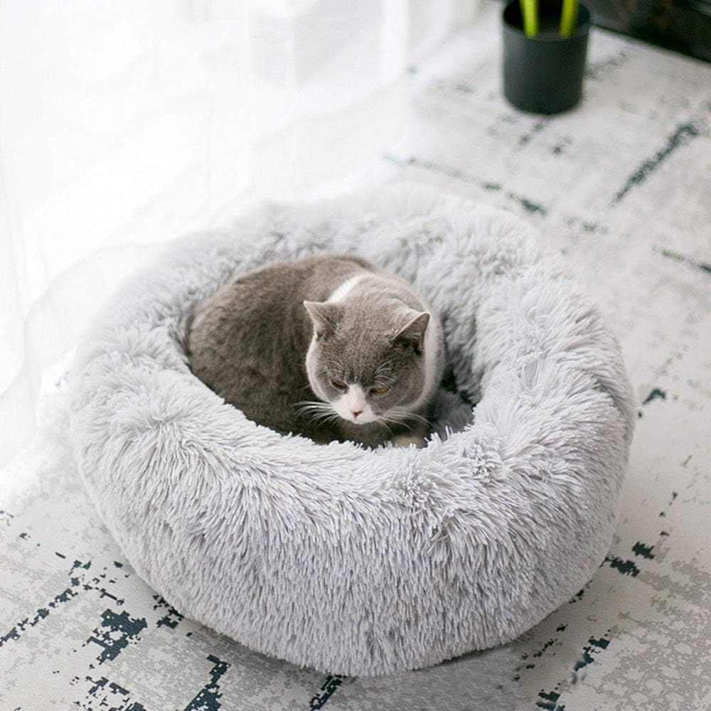 Cat Bed for Indoor Cats,Mini Plush Self Warming Kitten Bed, 20 Inch