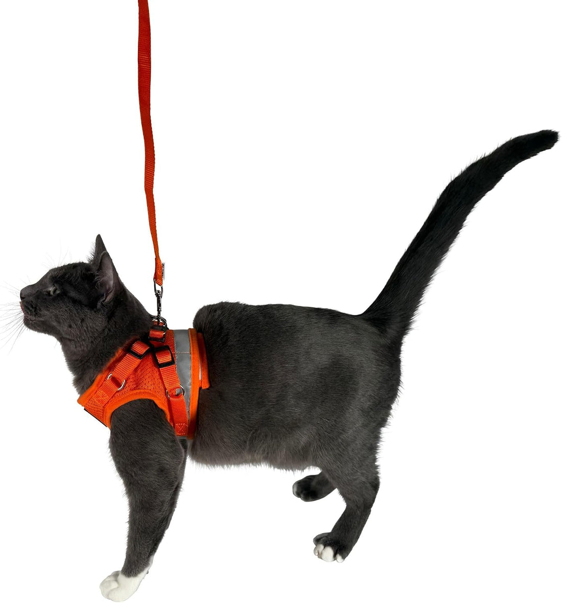 Travel Cat Harness and Leash Set