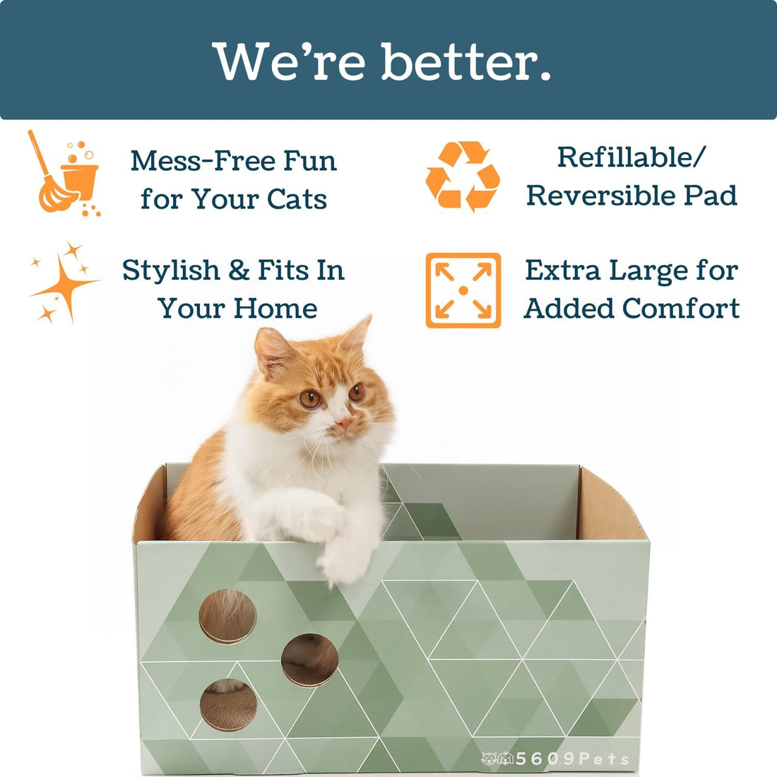 No-Mess Cardboard Cat Scratcher Box