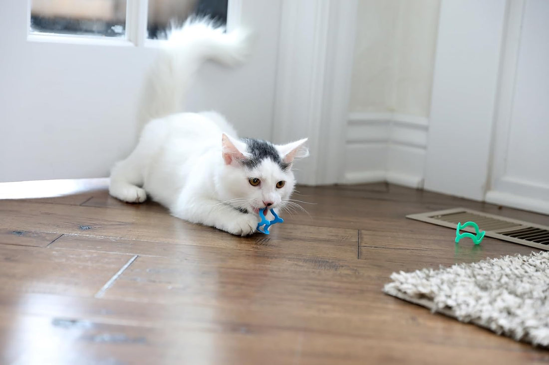 Petmate Interactive Cat Toys - Cat Crazies Multi Pack by Petmate
