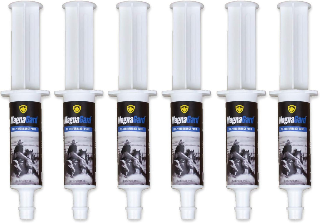 Pre-Performance Paste for Horses - All Natural Calmer, Acid Buffer
