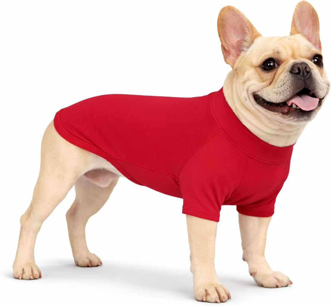 Premium Yoga-Fabric Dog T-Shirt – Breathable, Stretchy