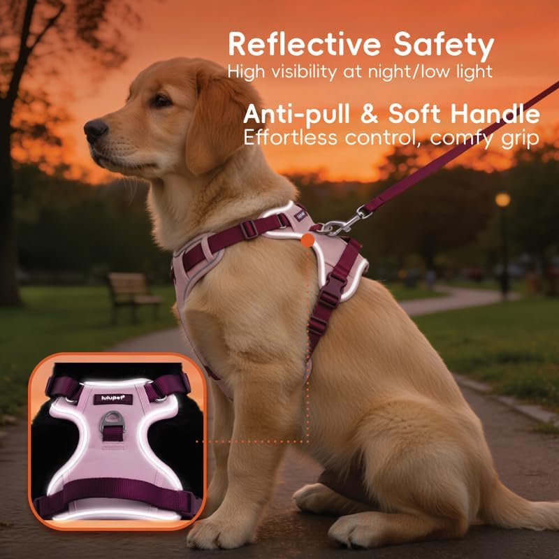 Dog Harness and Leash Set with Collar