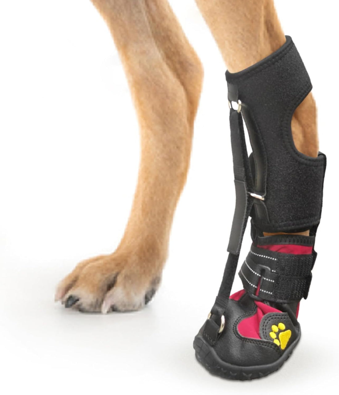 Strap-On Drop Foot Brace (No Knuckling Boot Brace) for Dogs, M