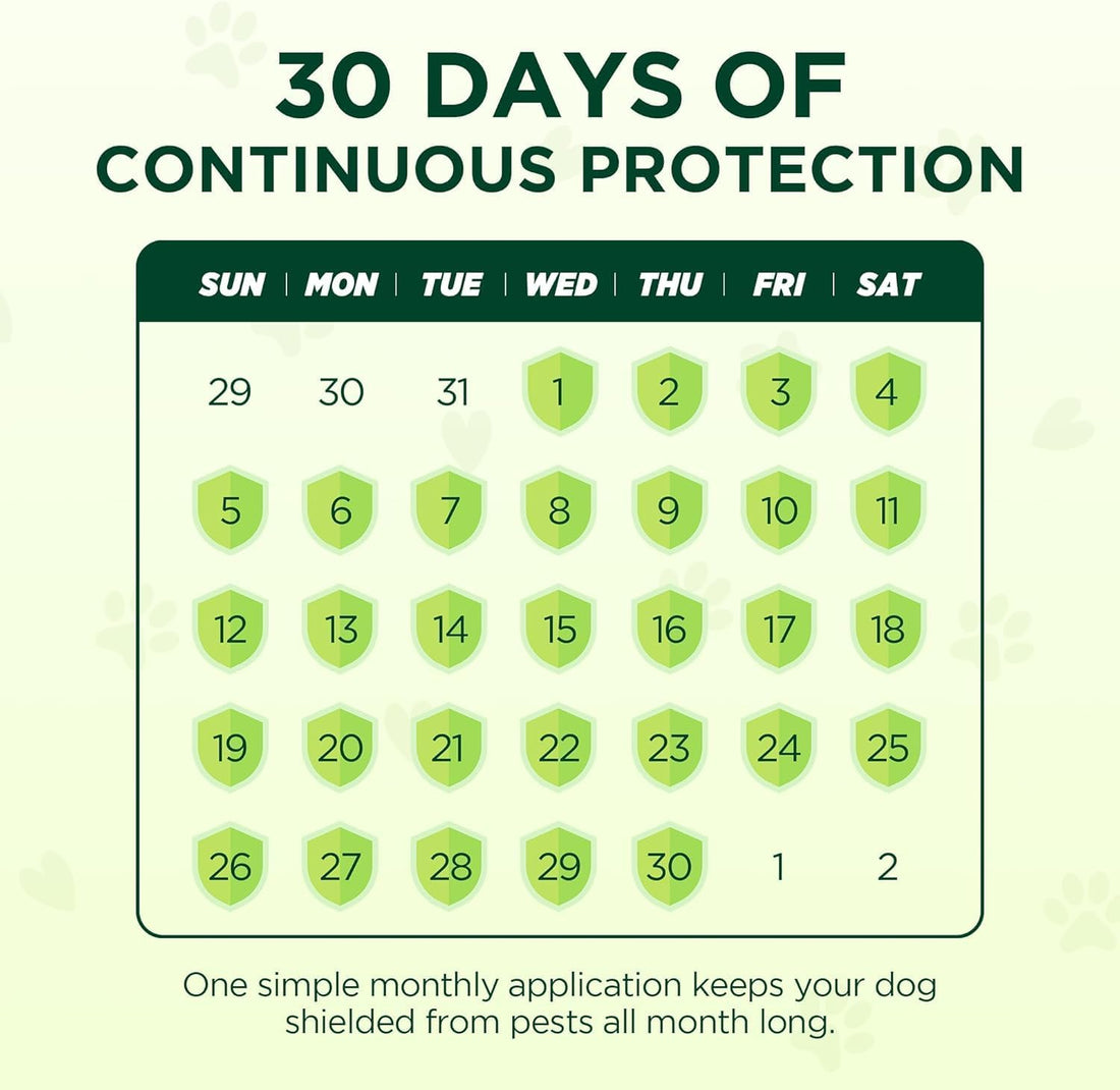 Flea and Tick for Medium Dogs, 6 Doses Helps Dogs 23-44 lbs