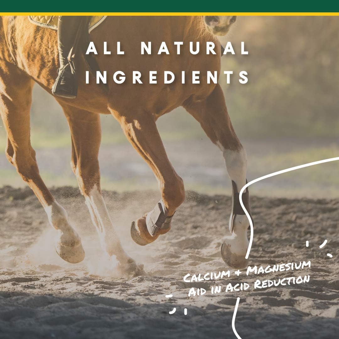 Corta-Flx U-Gard Pellets for Horses, Digestive Supplement