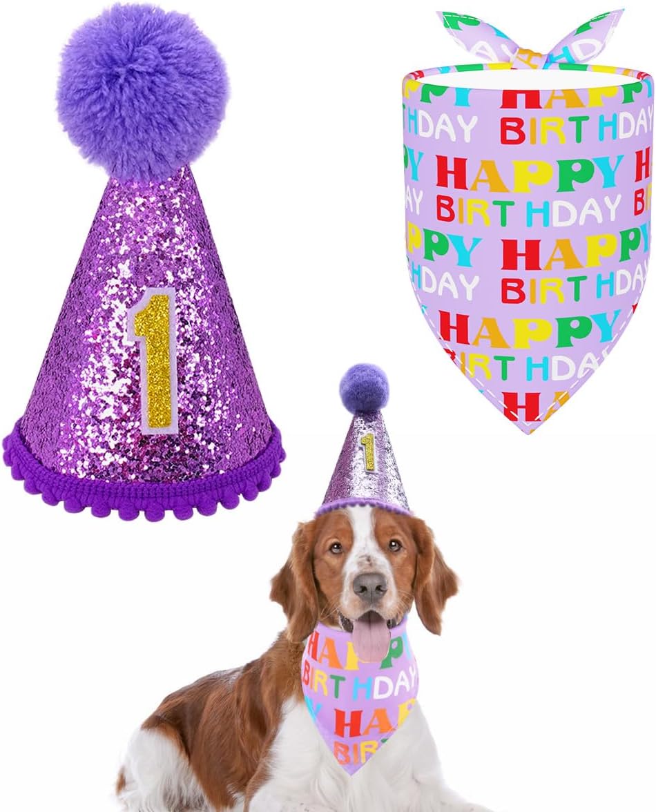 PET SHOW Blue Dog 1st Birthday Party Hat for Small Medium Dogs Boys