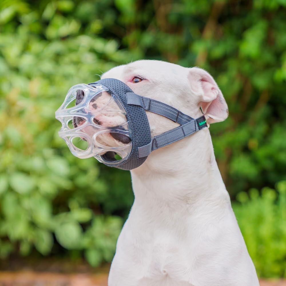 Baskerville INVISA Basket Dog Muzzle | Size