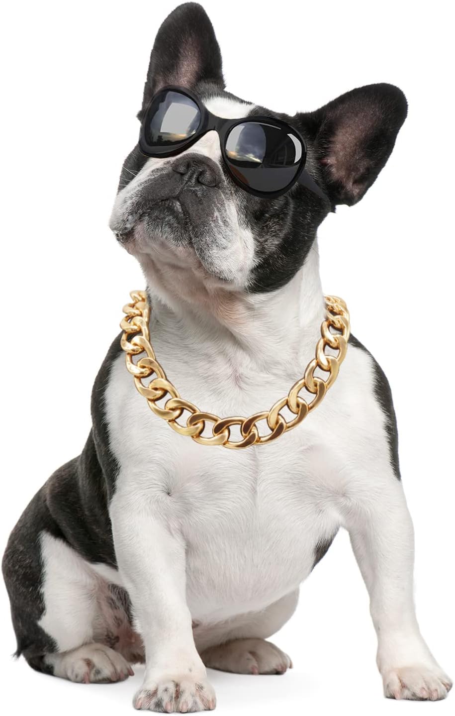 Chunky Beaded Necklace for Dog Cat Colorful Resin Bead Necklaces