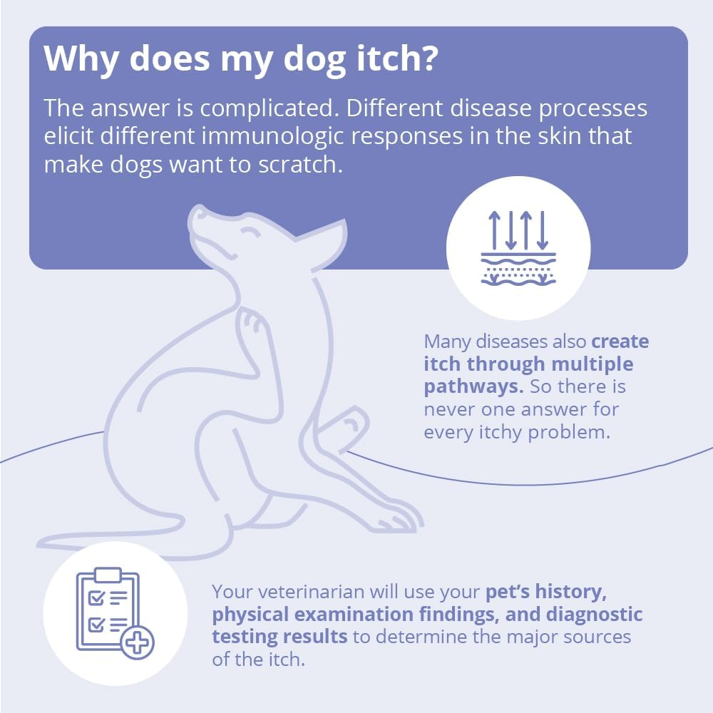 MiconaHex+Triz Shampoo for Dogs, Cats and Horses, Unscented