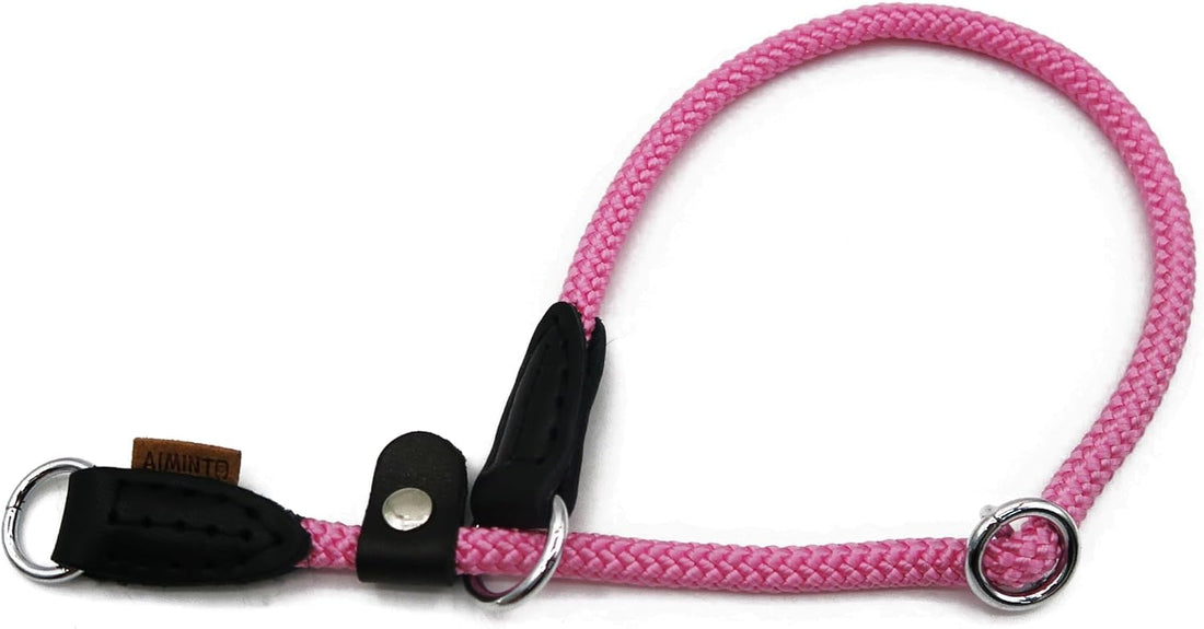 Braided Round Martingale Dog Collar