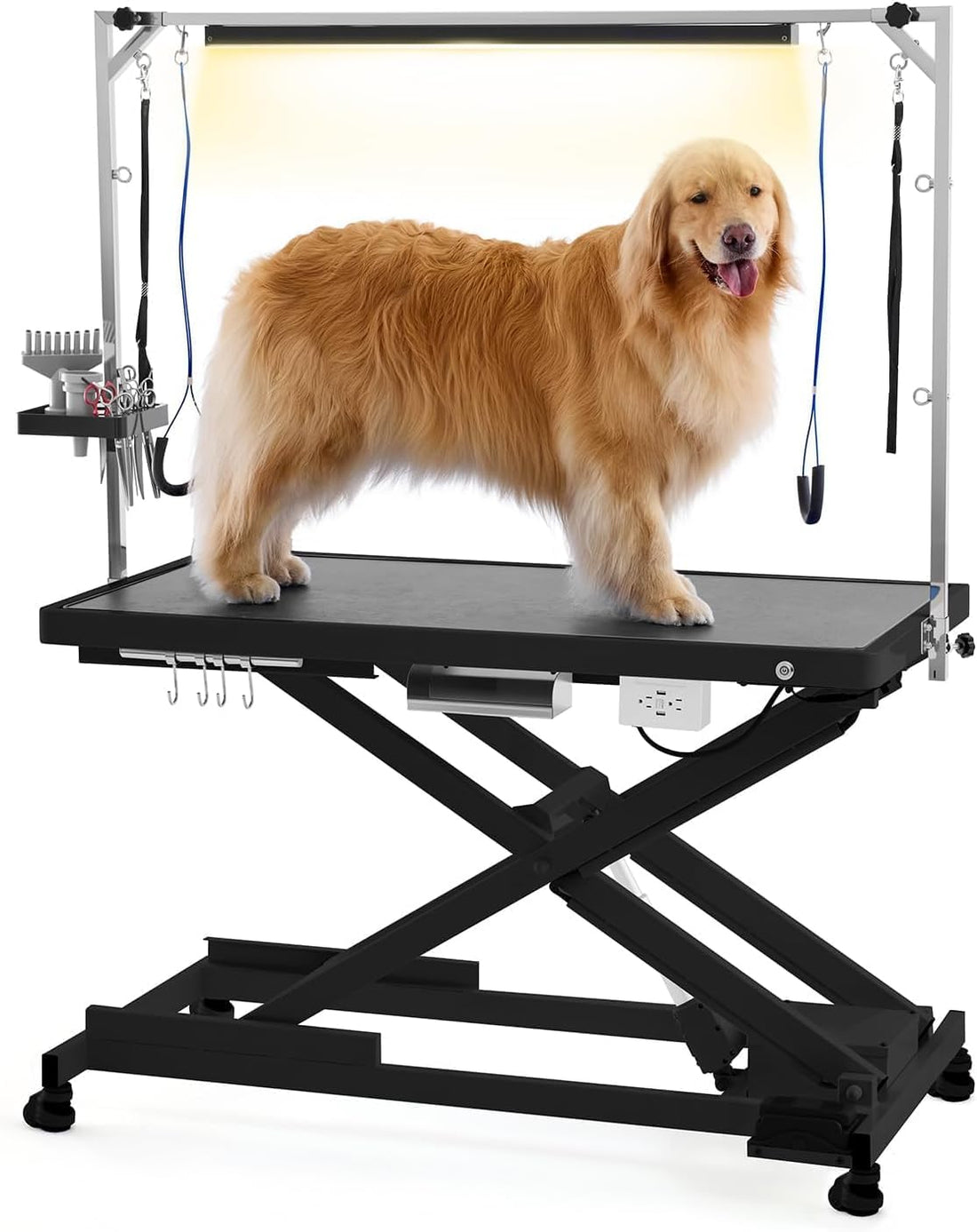 POLIMO Professional LED Electric Dog Grooming Table - Heavy Duty