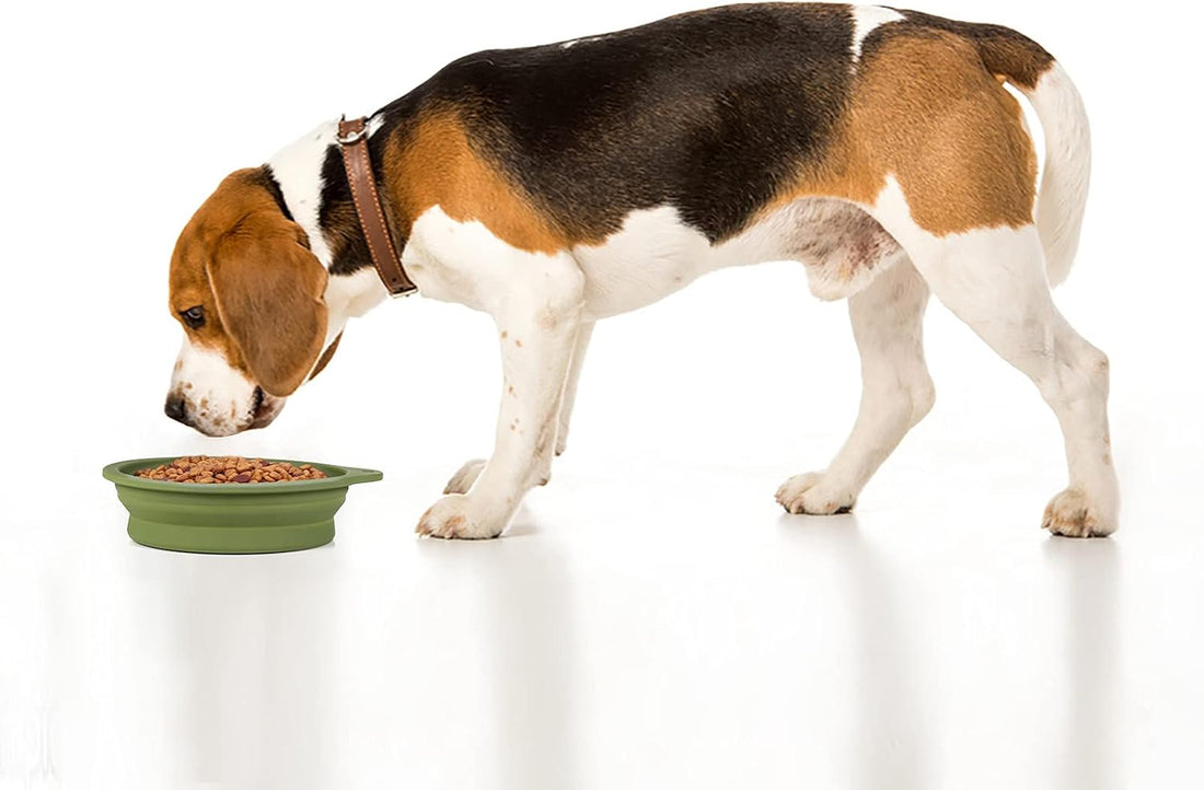 SLSON 2Pack Collapsible Dog Bowl,Integrated Molding Travel Bowl No