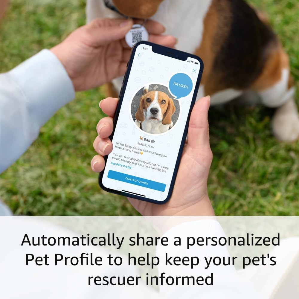 Ring Pet Tag | Easy-to-use tag with QR code | Real-time scan alerts