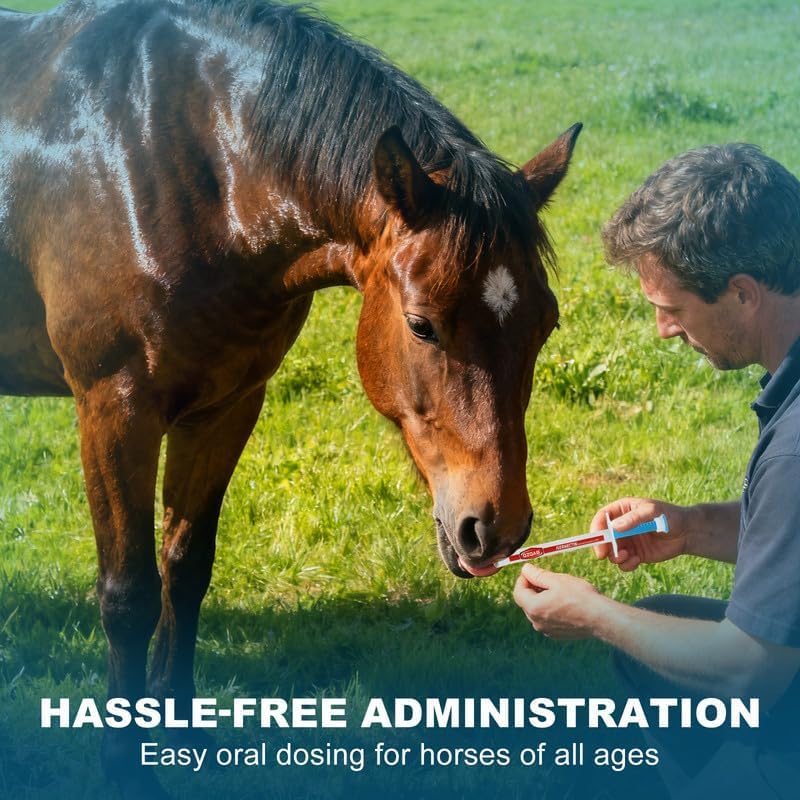 Ivermectin Horse Paste Dewormer , Horse Wormer Paste, Apple Flavor